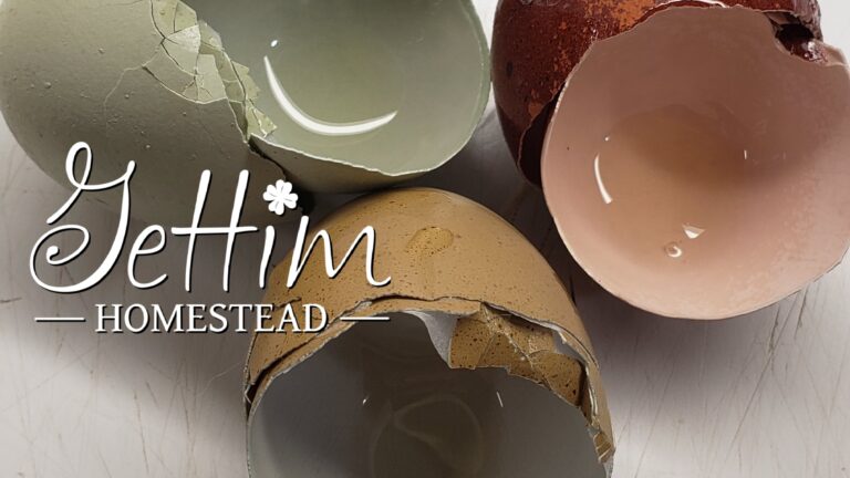 Changes at the homestead