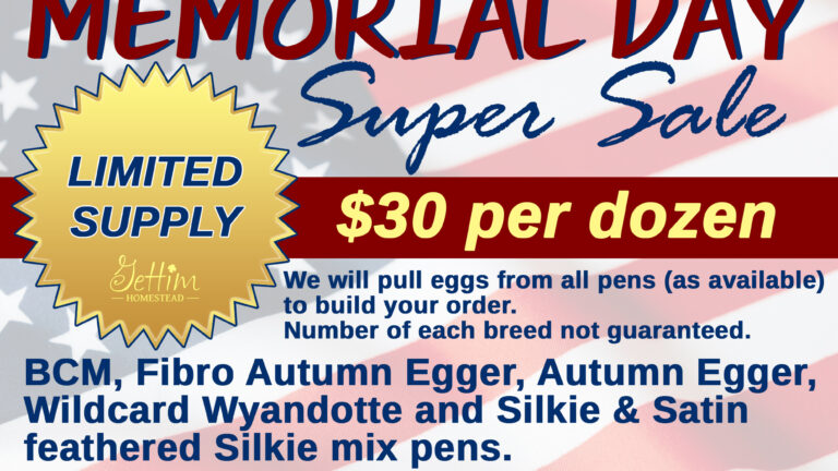 Memorial Day Super Sale 2025